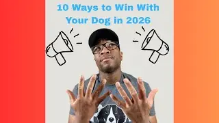 How to Win With Your Hunting Dog in 2026 (Beginner Expectations)