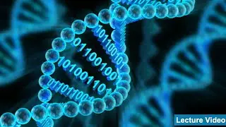 Lecture 7 - Translating Biological Questions into Computational Solutions