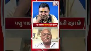 Cattle farmers are closing their stables #newsporter #trending #shortsvideo #farmer #khedut