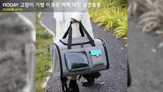 FIODAY 고양이 가방 이동장 백팩 대형 삼면통풍