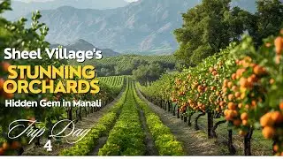 Day 4 - Sheel Village's Stunning Orchards in Kullu Manali  #thehelpinghand #longstays #kullumanali