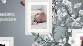 Hummingbird Acupuncture Animation