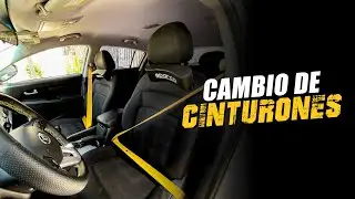 Cinturones amarillos a la Kia Sportage 💛😎