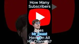 How Many Subscribers Does Mr Beast Have On ALL His Channels Combined? #mrbeast #top1 #shorts