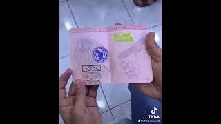 Expo Pass