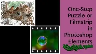 Photoshop Elements Quick Tip-1 Step Picture to Puzzle or Filmstrip