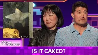 Is This Raccoon Caked Up? Margaret Cho, Ian Harvie, and Dylan Adler Investigate