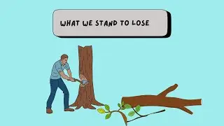 Deforestation | causes and impacts of deforestation | Wahengbam Jabeen Devi