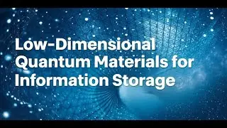 Low-Dimensional Quantum Materials for Information Storage