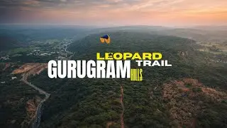Aravali Hills Aerial Drone Video | Cinematic Views of India&rsquo;s Oldest Mountain Range.