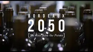 Bordeaux 2050 Case Study.