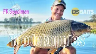 FK Specimen 5th Classic at Roodekoppies Dam team DB Baits 1