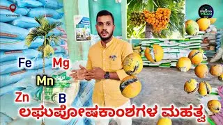The best Micronutrients fertilizer in Arecanut| ಅಡಿಕೆಗೆ ಲಘು ಪೋಕಾಂಶಗಳ ಮಹತ್ವ| Pragyankrishi