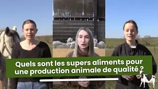 Quels sont les supers aliments pour une production animale de qualit&eacute; ?