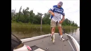 MESU BuzzeRR -  by Lake Fork Guide James Henderson