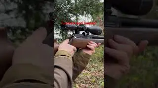 Daystate Huntsman Regal #airgunhunting #hunting #sniper #airgunhunters #targetpractice #review