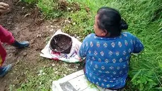हाम्रो चाई लसुन नी रोपियो हाई#mrbvlogs #minivlog #bebo #nature #please_subscribe_my_channel #please