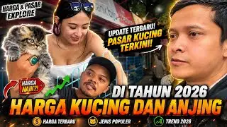 Explore tempat adopsi kucing dan anjing di bandung | jln dr otten rajiman bandung