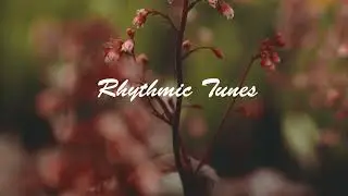 Instrumental Escapade | Tranquil Lofi Study Session | (Rhythmic Tunes)