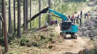 高性能林業機械  (ロングリーチ)(タワーヤーダ)