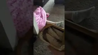sardine prank on sleeping husband REVENGE