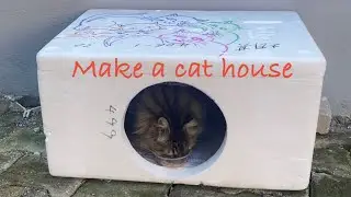 Today we are making a cat house for Oslo.🥰🤗