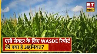 WASDE Report की क्या है अहमियत? | USDA WASDE Report | Commodity Ki ABCD | ET Now Swadesh