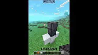Minecraft Nether Golem Moment 💀💀 #minecraft #shorts #gaming