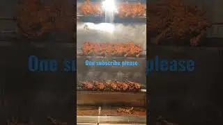 Iftar at Ramadan 2023 in Gousia Golden Spoon Husainabad #streetfood #kitchencompany