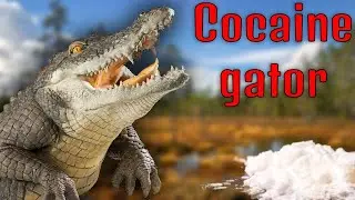 Meth gator is BAD... Like really bad