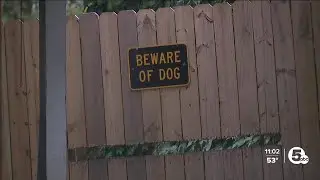 Akron homeowners demand tougher excessive dog barking ordinance