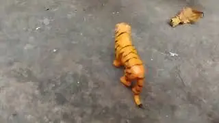 Cat family Part 1 