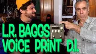 L.R. Baggs Voice Print DI