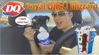 Dairy Queen Royal OREO Blizzard