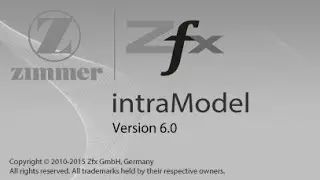 Zfx&trade;&nbsp;Digital-intraModel