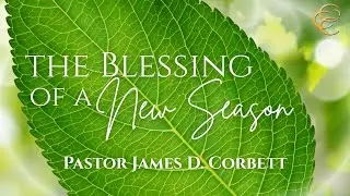 Wednesday Morning Bible Study |