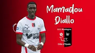 Mamadou Diallo | 2022 - 2024 (highlights)