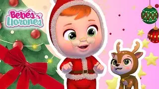 BEB&Eacute;S LLORONES en Directo 💧💗 DIBUJOS Animados para ni&ntilde;os en Espa&ntilde;ol
