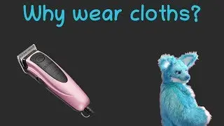Why Wear Cloths? | Chatter Fox