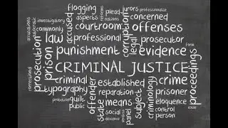 week 2 police discretion