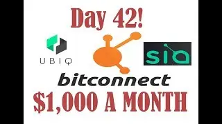 Earn $1,000 a month! Bitconnect Day 42. UBIQ Mining Day 30! Sia Coin!