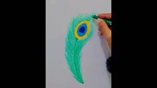 Peacock feather drawing for beginners/Easy Art Corner