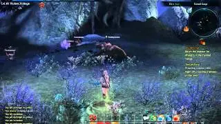 TERA   WARRIOR 10lvl on A SIMPLE QUEST