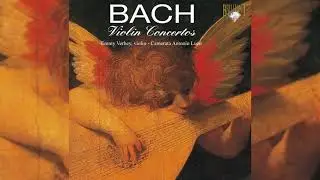J.S. Bach: The Violin Concertos