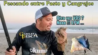 Pescando con luna llena 🌕 #pesca #luna #super #pasto #cangrejo #bagre #corvina #chucho #alga #2025 