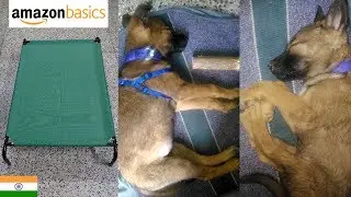 I got Elevated Cooling bed for my Puppy| Amazon Basics