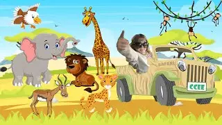 Ccee's Safari Adventure
