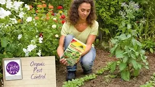 Organic pest control in your garden