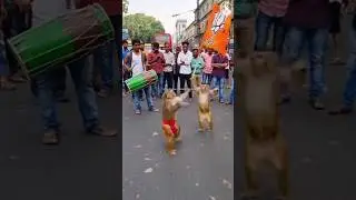 Mumbai Road Par Bandar&ndash;Bandariya Ka Dance | Viral Street Moment | AI Short 🙏