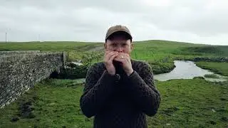 Irish Tune on Harmonica in the Heart of Ireland&rsquo;s Green Landscape ☘️